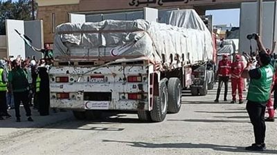 خبير: مصر قدمت 80 % من المساعدات الإنسانية للشعب الفلسطيني