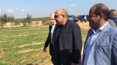 التوسع في زراعة القمح وبنجر السكر ومشروعات جديدة للتصنيع الزراعي والإنتاج الحيواني 