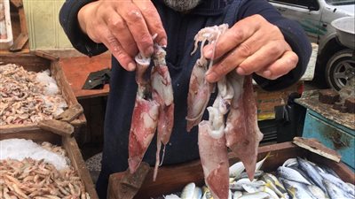 أسعار السمك تتراجع بنسة ٢٠% في دمياط  