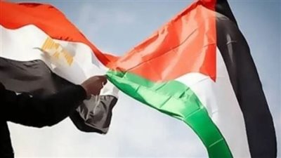 أستاذ علاقات دولية: مواقف مصر مشرفة..وتصريحات الإدراة الأمريكية 