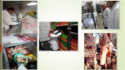 تحرير 21 محضرًا خلال حملات تفتيشية بالشرقية