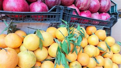 أسعار الخضروات والفاكهة اليوم الأحد 11 فبراير بأسواق الفيوم 