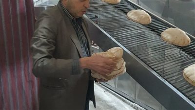 إحالة 219 مخالفة تموينية إلى النيابة العامة