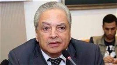 سياسي يكشف أهمية مشاركة الحكومة في الحوار الوطني 