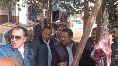 تحرير 2378 محضرًا تموينيًا في حملات بالمنيا 