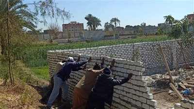 حملة لإزالة التعديات بقرية أولاد نجم القبلية بنجع حمادي