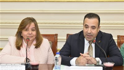 اتصالات النواب: الإسكان الاجتماعي أحدث نقلة حضارية ونسبة 60% دعم للوحدات انتصارا لمحدودي الدخل