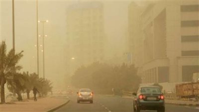 تحذير مهم من الأرصاد لمرضى الحساسية والجيوب الأنفية (فيديو)