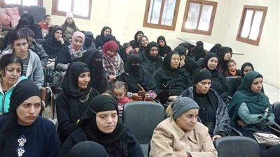 ندوات لبرنامج الإرشاد الأسري والتنشئة المتوازنة بالمنيا 