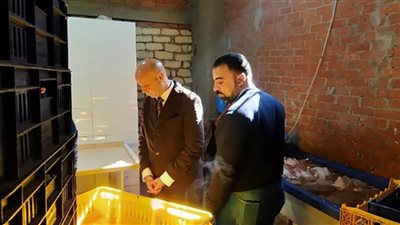 إعدام نصف طن أغذية فاسدة فى حملة على المنشآت الغذائية بالشرقية