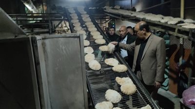 تحرير 46 محضر مخالف لمخابز السنبلاوين في حملة مكبرة بـالدقهلية