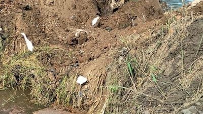 إزالة 18 حالة تعدِ بمركز كفر سعد بدمباط 