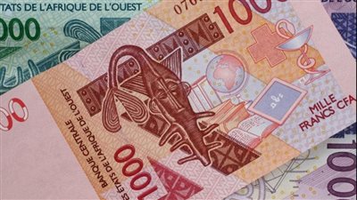 النيجر وبوركينا فاسو ومالي.. عملة مشتركة محتملة للخروج من 