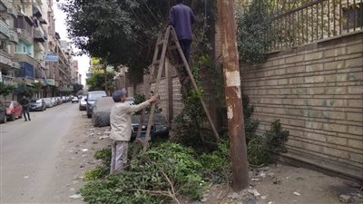 الدقهلية: رفع 560 طن قمامة وأتربة بالمنطقة المركزية