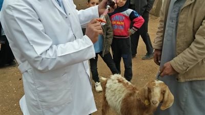 فاعليات قافلة جامعة الزقازيق البيطرية لقرية كفر أيوب