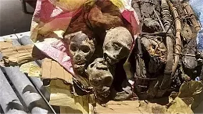 الولايات المتحدة الأمريكية.. جماجم في حقيبة من جمهورية الكونغو الديمقراطية