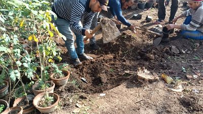 محافظ الغربية يتابع جهود الوحدات المحلية في زراعة الأشجار 