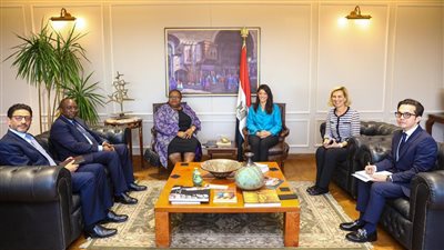 7 مليارات دولار استثمارات مؤسسة التمويل الدولية في شركات القطاع الخاص بمصر