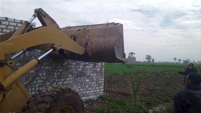 المنيا تواصل إزالة التعديات على الأراضي الزراعية 