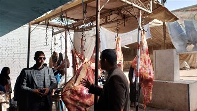 تحرير  117 محضرًا تموينيًا في حملات بالمنيا 