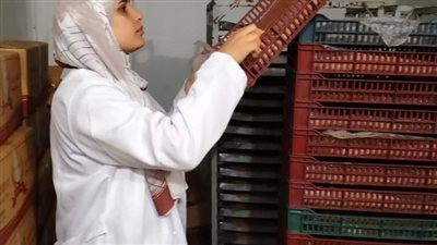 ضبط لحوم مصنعة مخالفة خلال حملة تفتيشية بالشرقية 