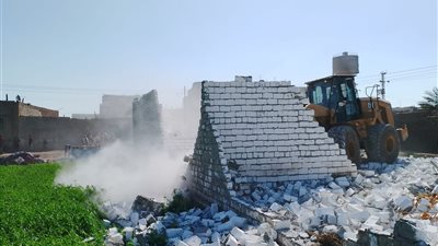 إزالة 141 حالة تعدِِ على الأرض الزراعية بالمنيا 