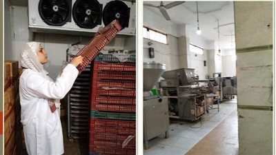 ضبط 2.5 طن لحوم مصنعة مخالفة خلال حملات تفتيشية بمراكز الشرقية