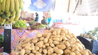 محافظ الجيزة يطمئن على انتظام حركة البيع والشراء بمنافذ 6 أكتوبر 