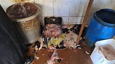 الدقهلية تنفذ حملة تفتيشية مكبرة على المنشآت التجارية بالمنصورة