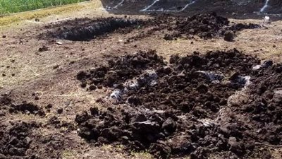 إزالة فورية لحالة تعدى بقرية الشعانية بنجع حمادي