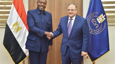 تعزيز سبل التعاون بين مصر وجنوب أفريقيا في الصناعات الدوائية