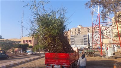 محافظ الغربية يتابع العمل في مشتل حي ثان طنطا