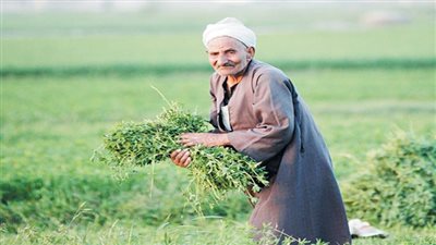 الزراعة.. سلاح مصر لتحقيق الأمن الغذائى