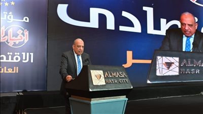 عصمت: تطور أداء شركات قطاع الأعمال وتحول العديد من الخسارة إلى الربحية