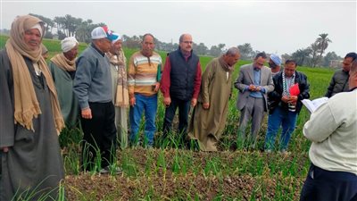 الزراعة تستعرض حصاد الفرق الإرشادية الريفية خلال الأسبوع الثاني من شهر فبراير 2024