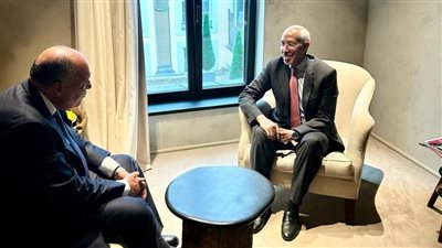 وزير الخارجية يلتقي مع وزير الدفاع الموريتاني ويحذر من اجتياح رفح