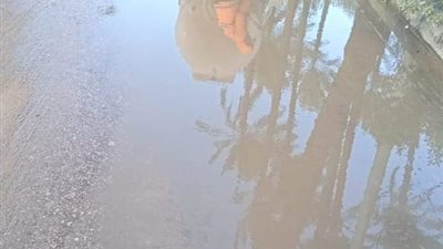 طقس بارد بالبحيرة مساء الجمعة