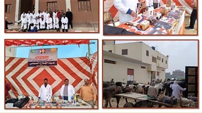 قافلة طبية بيطرية مجانية بقرية شهداء بحر البقر في الشرقية