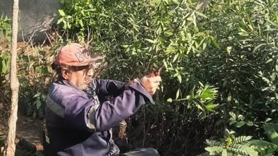 محافظ الغربية يتابع الجهود المكثفة بالمراكز والمدن لزراعة الأشجار