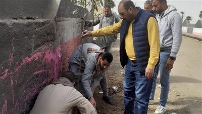 المنيا تقوم بزراعة أشجار مثمرة بالمراكز والمدن