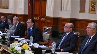 مدبولي يوجه بتشكيل مجموعة عمل مُصغرة في كل محافظة لمتابعة توافر السلع وتوازن الأسعار 