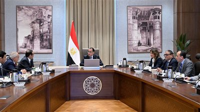 رئيس الوزراء يلتقي رئيس مجلس إدارة الشركة المصرية- الكويتية القابضة