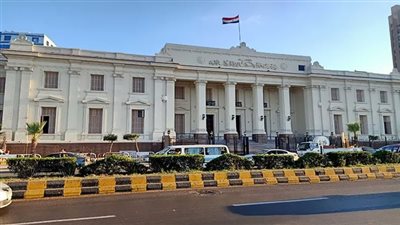 تعدي على فتاة وسرق صديقتها.. المؤبد لتاجر مخدرات في الإسكندرية 