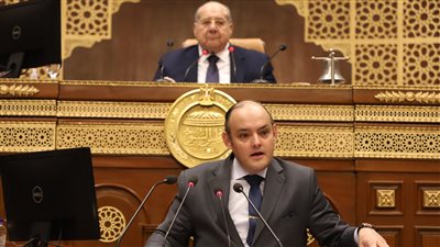 وزير التجارة والصناعة يستعرض أمام الجلسة العامة لمجلس الشيوخ خطة ورؤية الوزارة لتحقيق التنمية