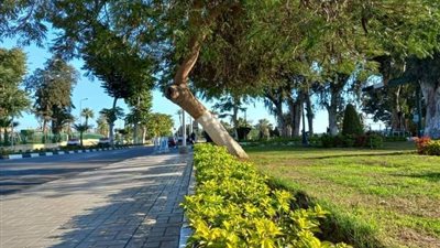 طقس دافئ ومشمس على الأجواء بالإسماعيلية 