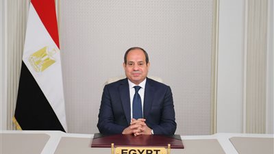 السيسي يستقبل رئيس شركة 