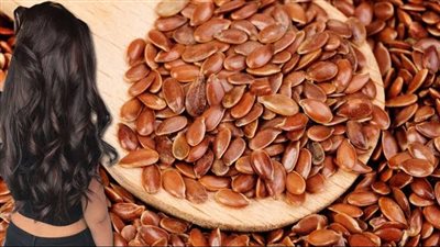 بذور الكتان.. تساعد على نمو الشعر وتقوي البصيلة| فوائدها مذهله