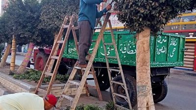 رفع 640 طن قمامة وأتربة بالدقهلية 