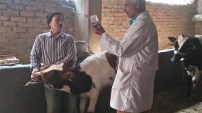 جامعة الزقازيق توجه قافلة بيطرية لقرية النادي ببلبيس 