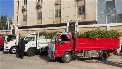 محافظ الفيوم: توزيع 51 ألف و500 شجرة لغرسها بمختلف المراكز والقرى 